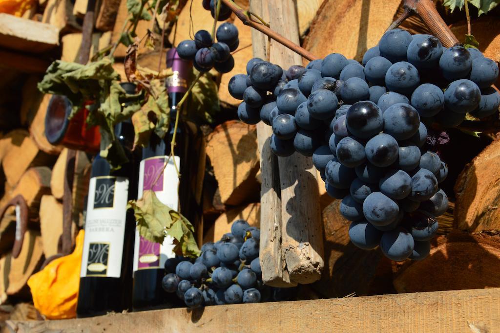 Agriturismo Il Nido Di Bacco Villa Saluzzo Luaran gambar